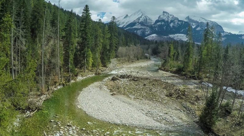 Bela WILDRIver ZivaRiekaErik Arola - 00062.png