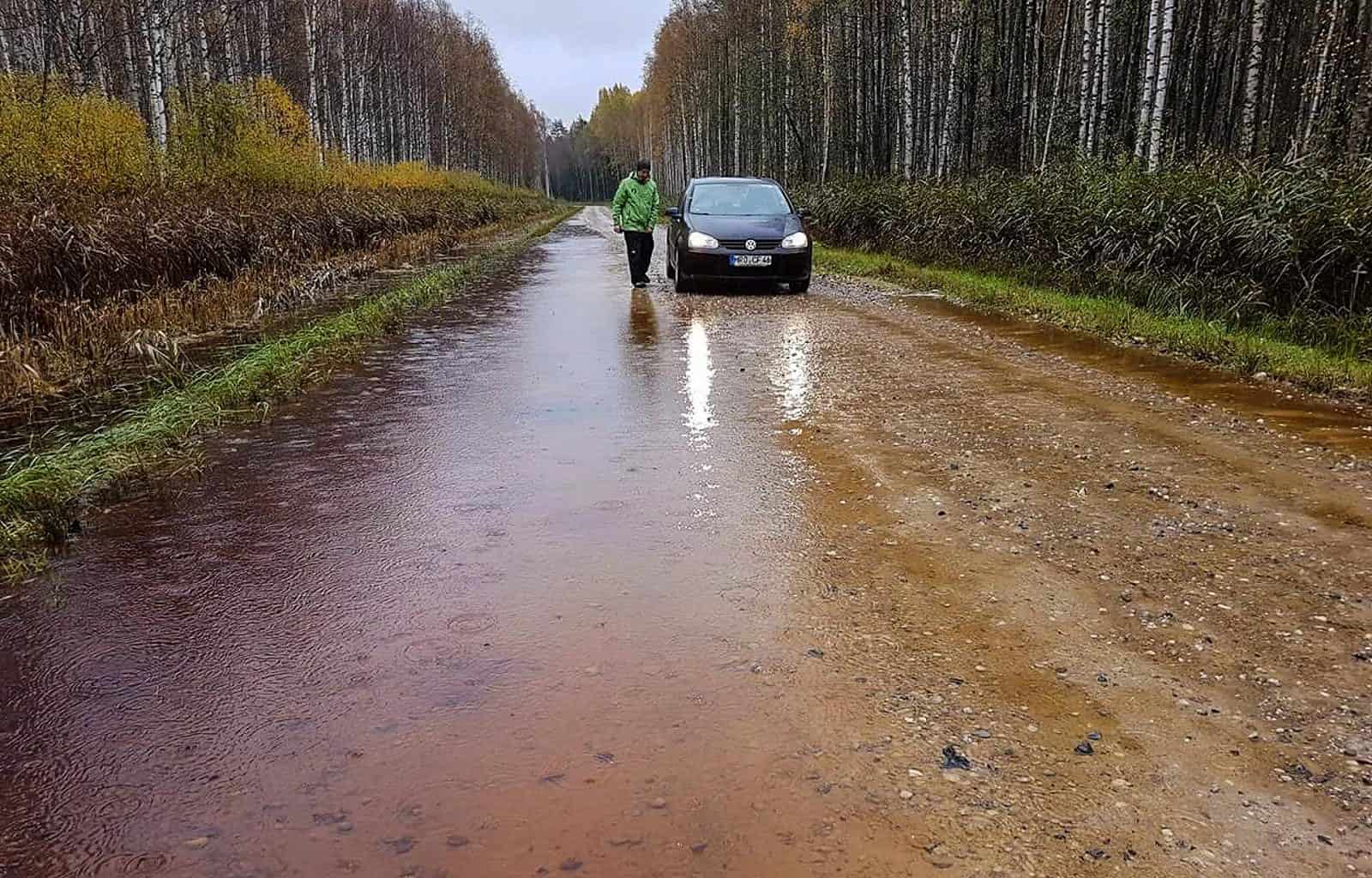 Soomaa WIlderness, Estonia 0011.jpg