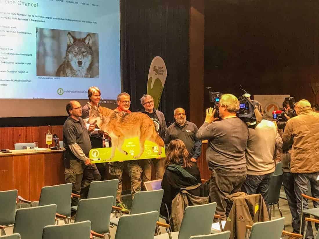 Wolf Press Conference Vienna - © All rights reserved