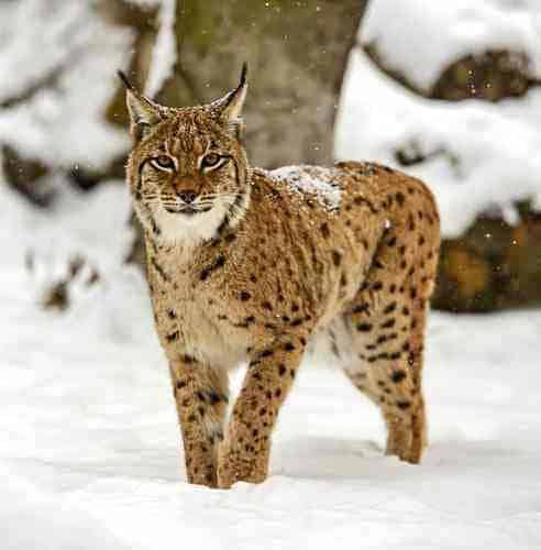 EWS - Fotolia -06509_