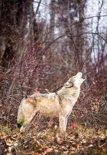 EWS - Fotolia -04743_