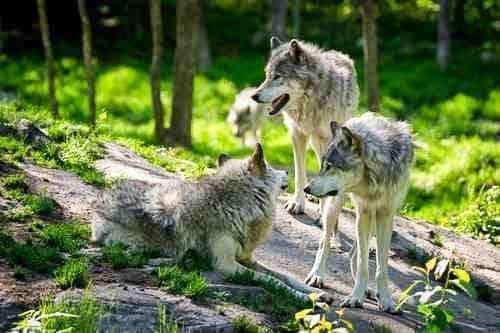 EWS - Fotolia -06505_