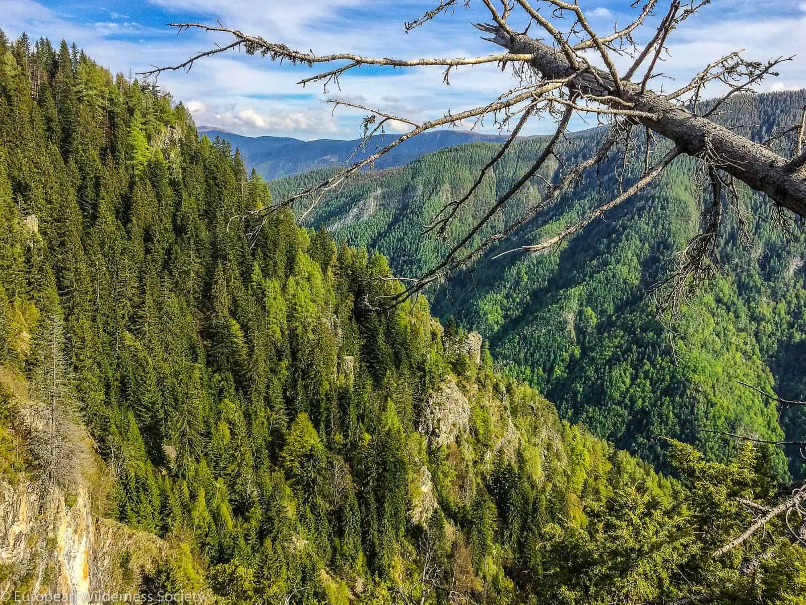 2017-05-11 17.22.22.jpg