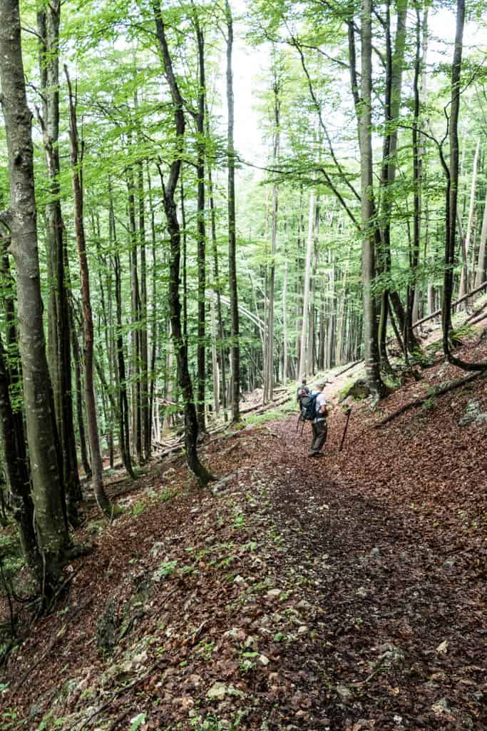 Kalkalpen Wilderness 126-2.jpg