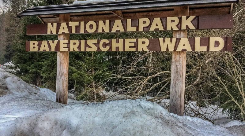 Bavarian National Park Sumava - 1237.jpg