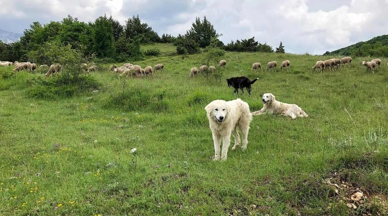 Majella National Park 2018-15729.jpg