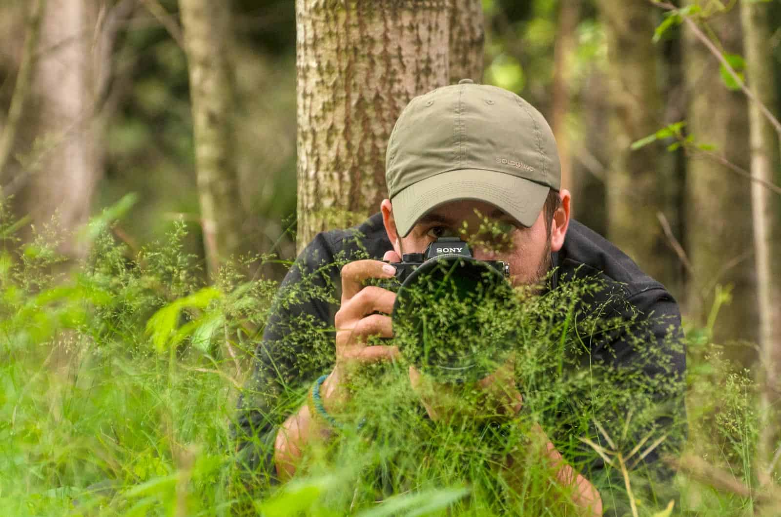 WILDArt Synevyr - 16406.jpg