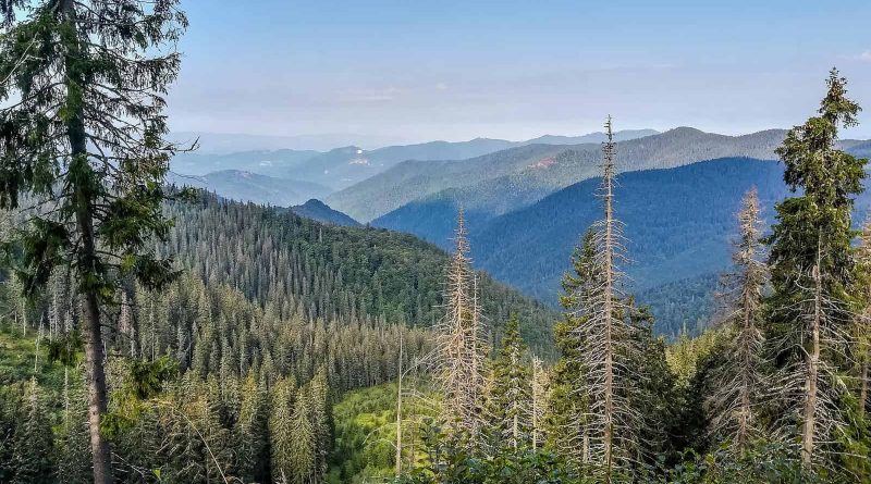 Maramarosh Wilderness Carpathian Biosphere Reserve-19812.jpg
