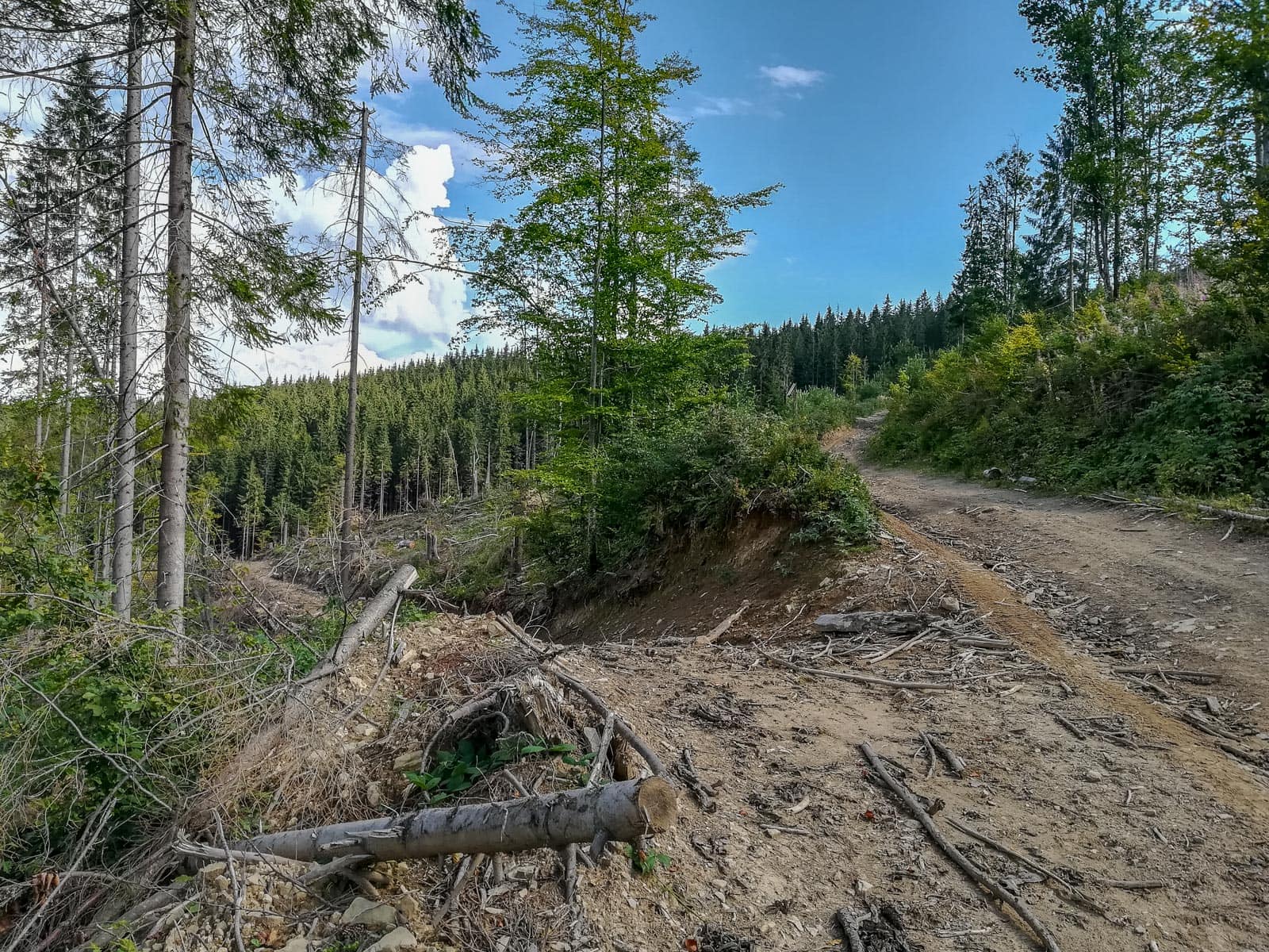 Svydovets Wild Area Ski Resort-20068.jpg