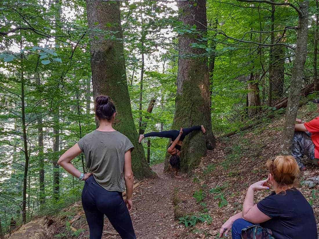 WILDArt NPP Synevyr Ukraine - © All rights reserved