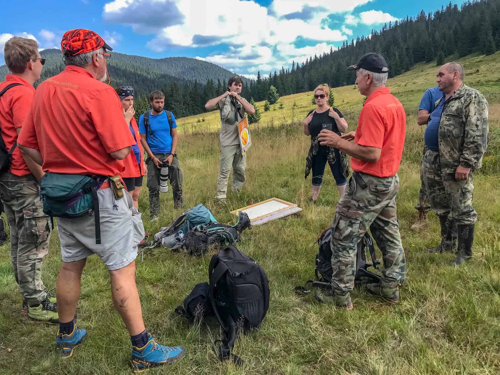 WILDArt Synevyr - 17862.JPG