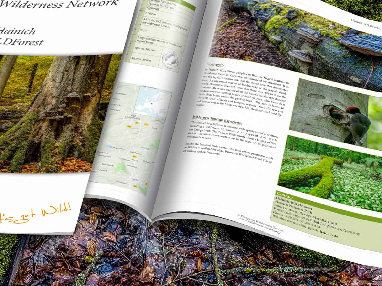Hainich-WILDForest_Brief_2200x1057.jpg