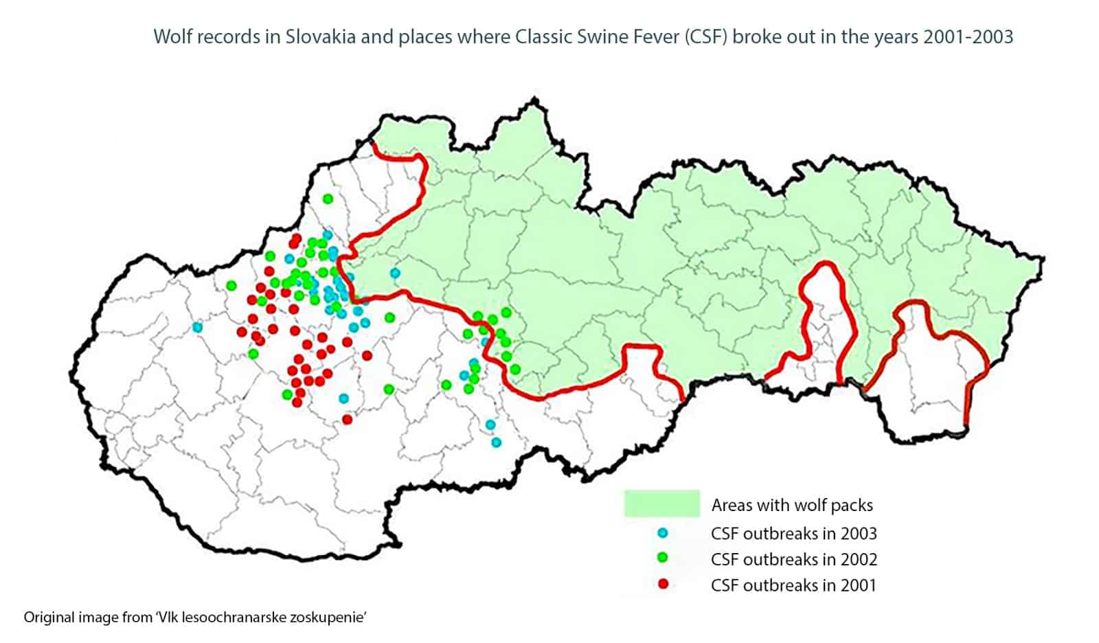 Wolf IMpact Swine Fever English-22002.jpg