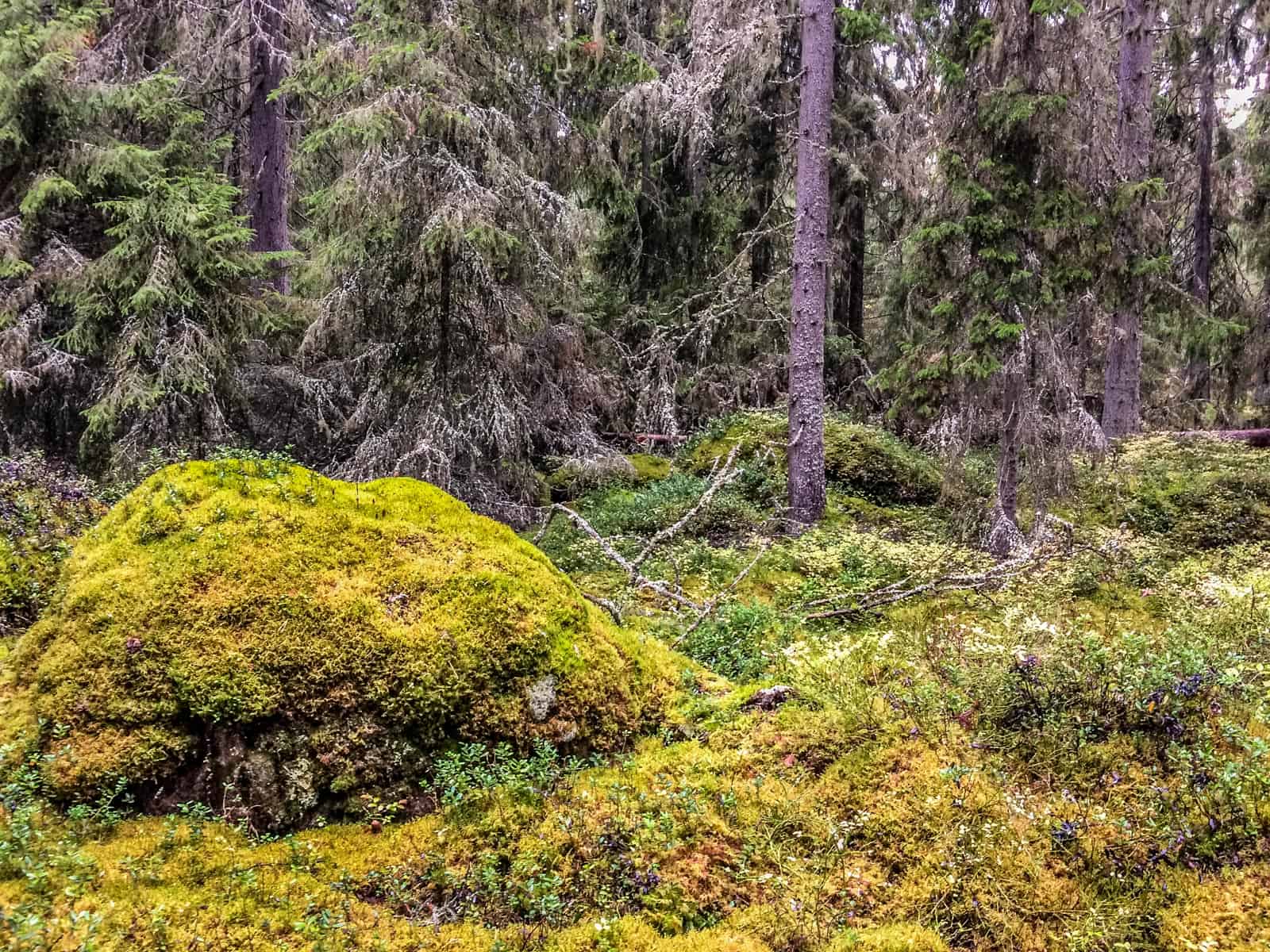 2017-10-14 11.13.53.jpg