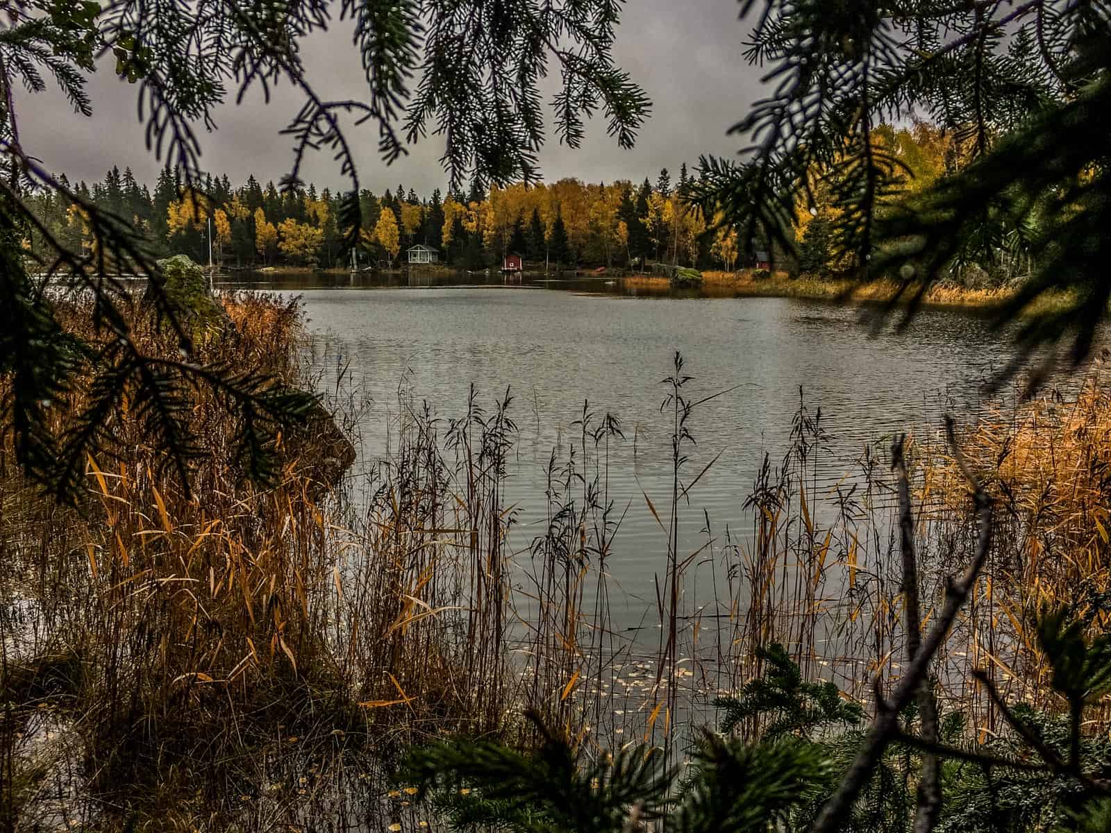 2017-10-14 13.05.05.jpg