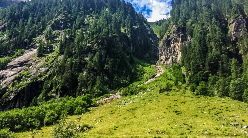 Hohe Tauern WIlderness Exkursion 2017 0045.jpg