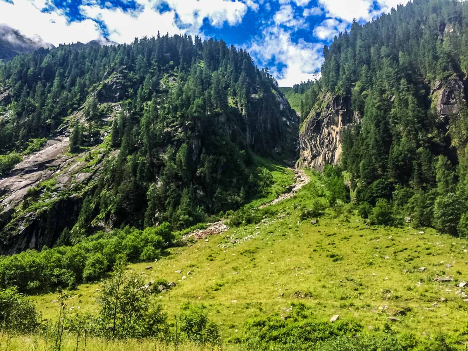 Hohe Tauern WIlderness Exkursion 2017 0045.jpg