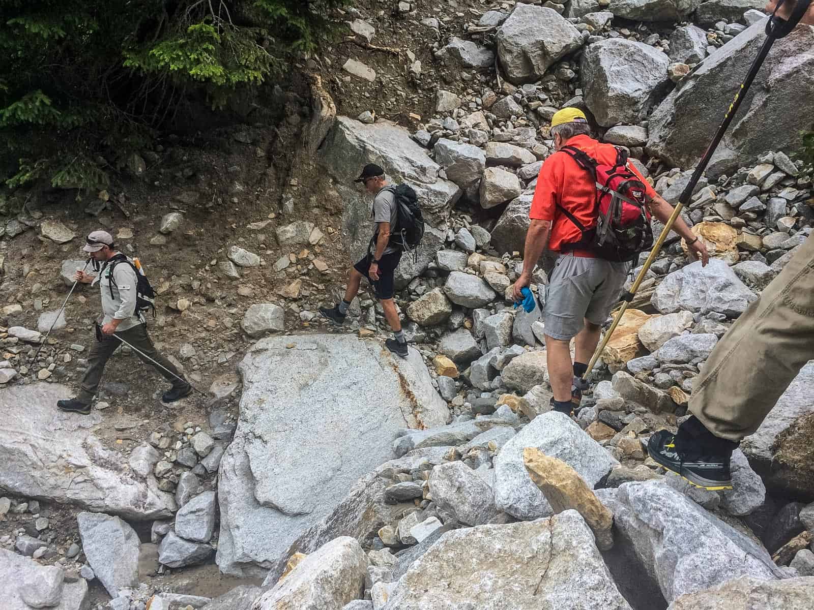Hohe Tauern WIlderness Exkursion 2017 0084.jpg