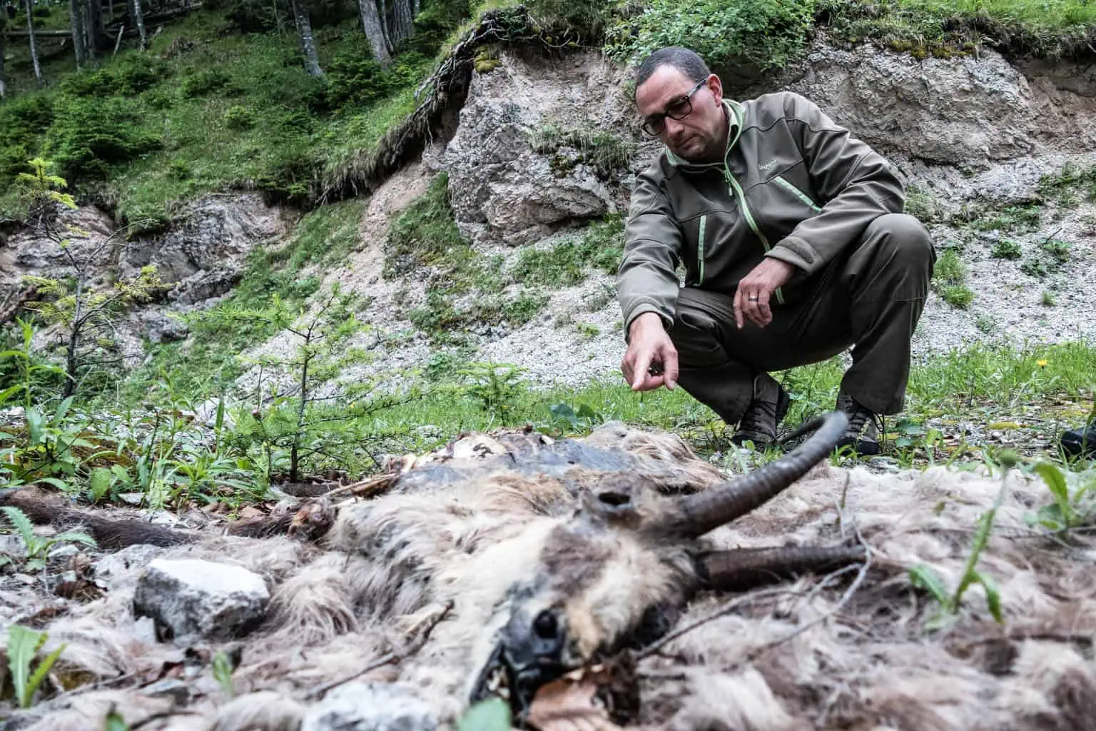 Kalkalpen Wilderness 183.jpg