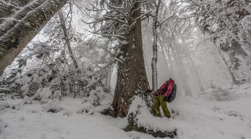 14. Colourful autumn changed into snowy winter.jpg