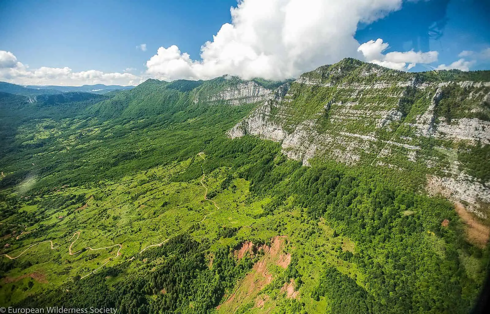 1. Küre Wilderness is wel known because of intact forests, wildlife and endemic plant species.jpg