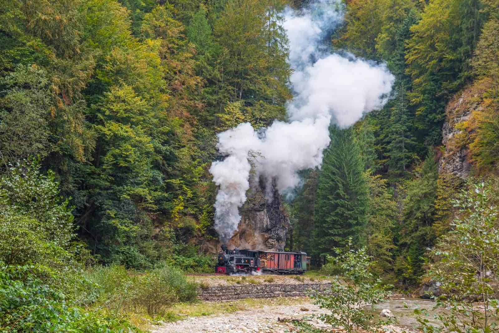Romania, Mocanita - old narow guage road.jpg