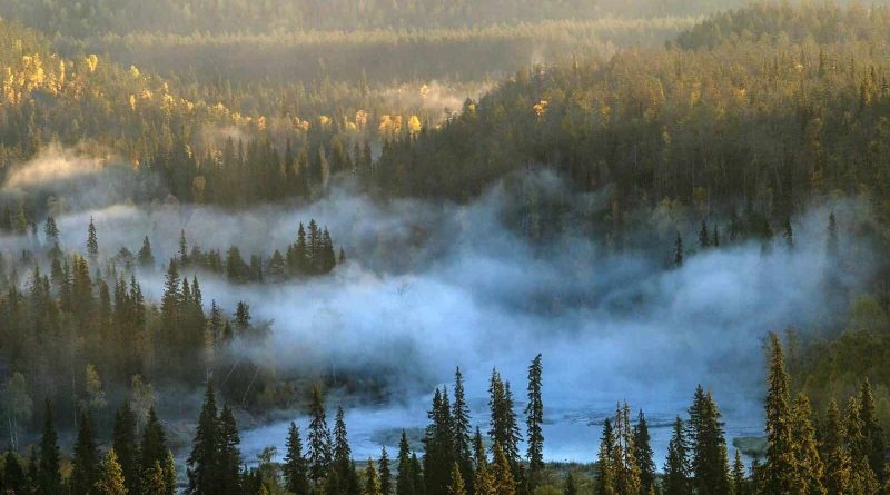 Wilderness_Fog in Oulanka NP_River Kitkajoki_Markku Pirttimaa.jpg