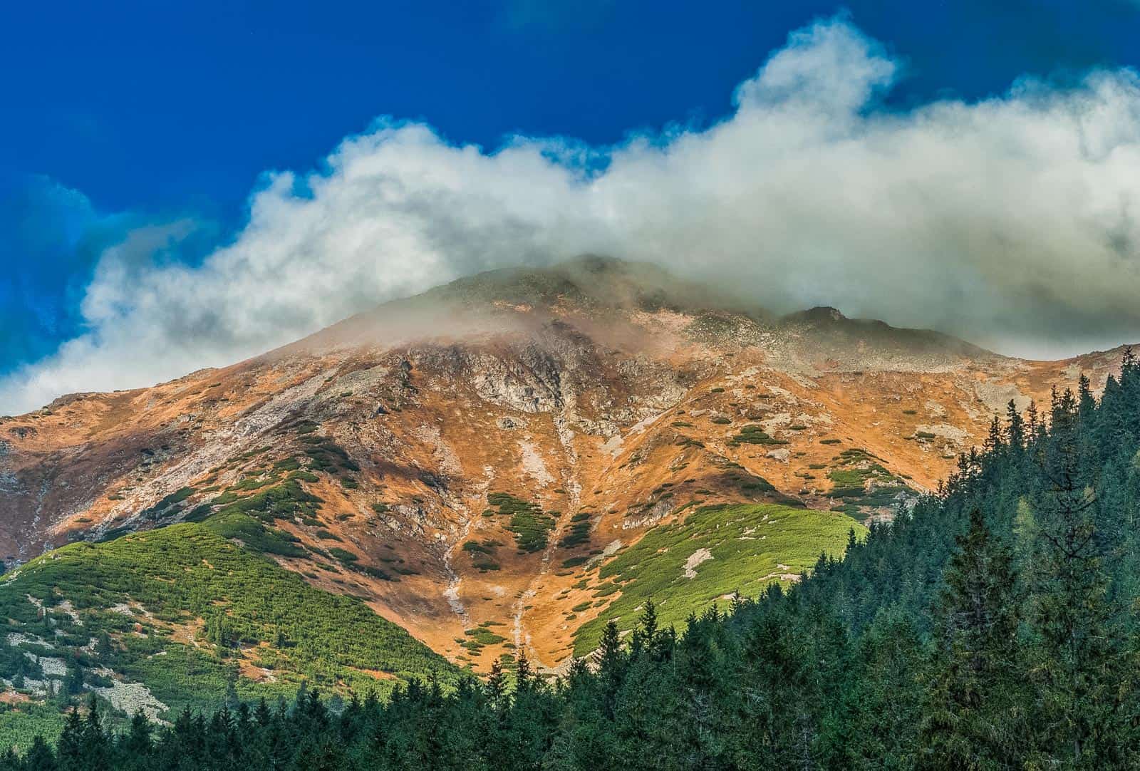 Tatra NP, Rackova Dolina Valley 0343.jpg