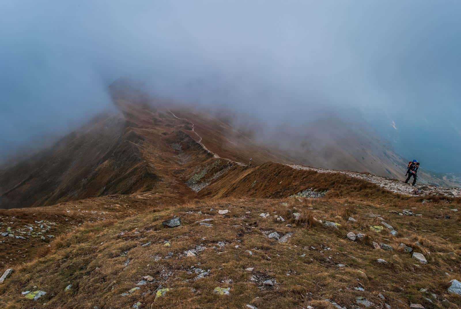 Tatra NP, Rackova Dolina Valley 0358.jpg