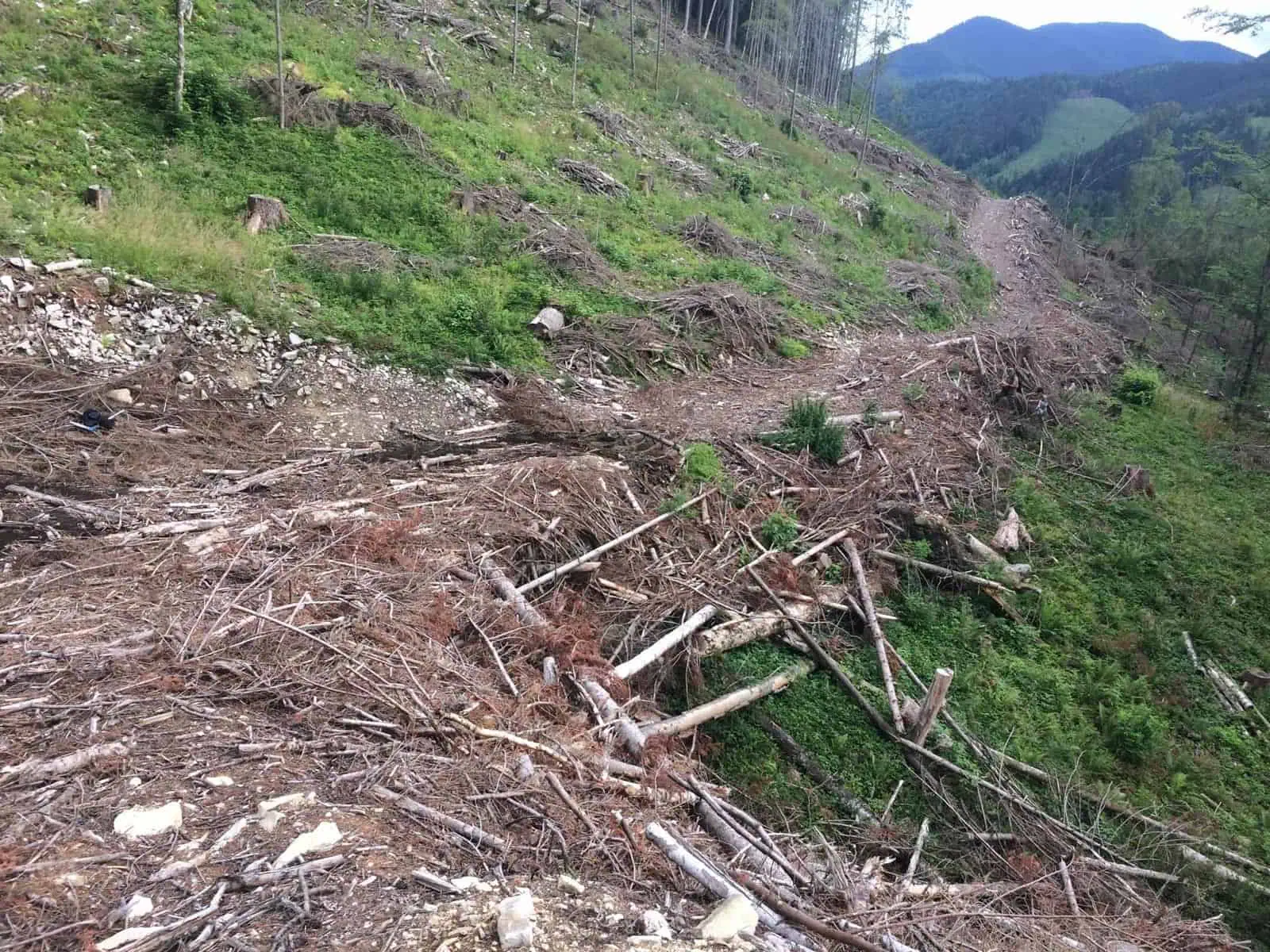 Ukraine Sanitary Logging Analysis - 6487.jpg