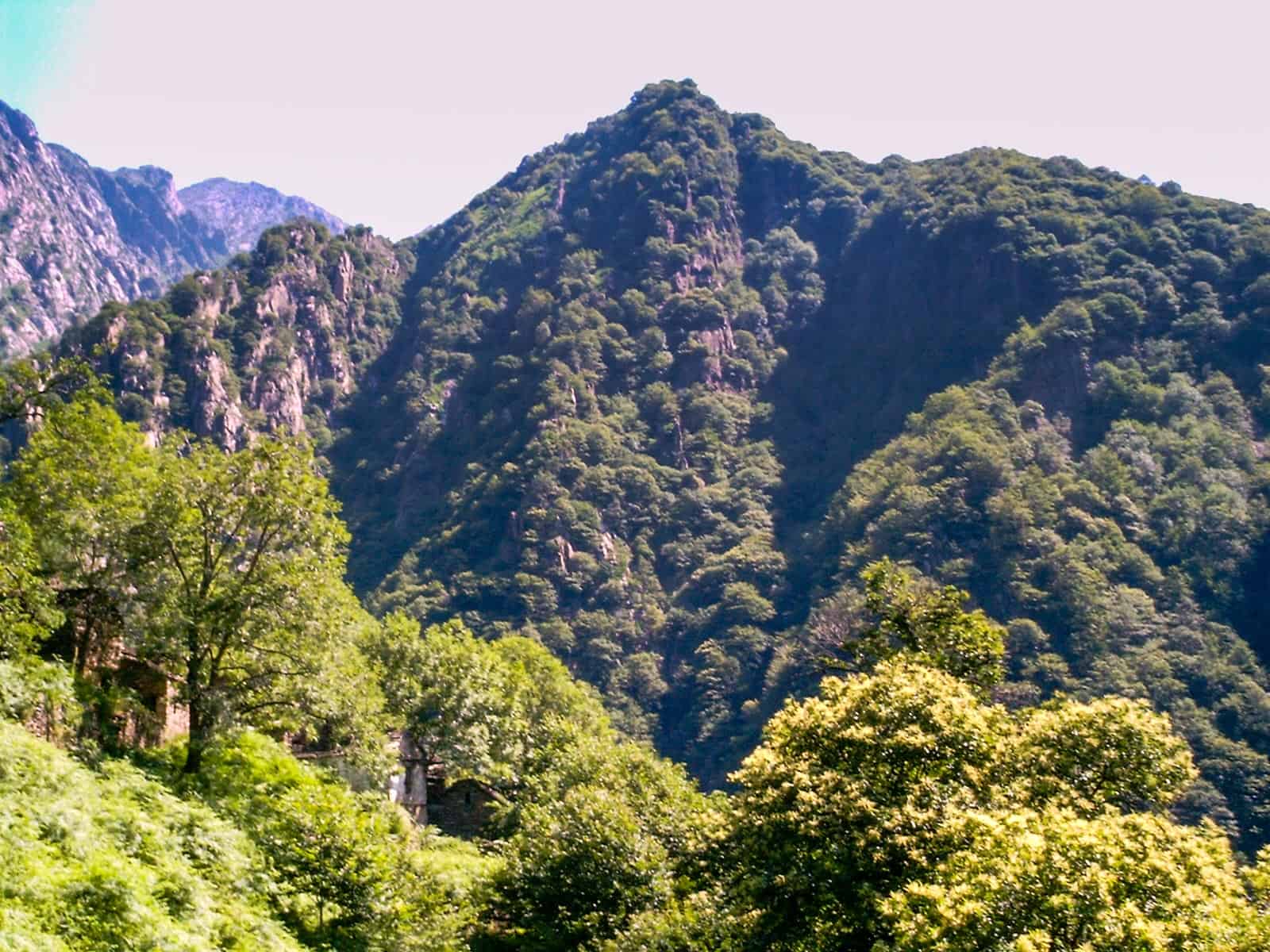 Val Grande 2005_Patrizia Digiovinazzo_0034.JPG