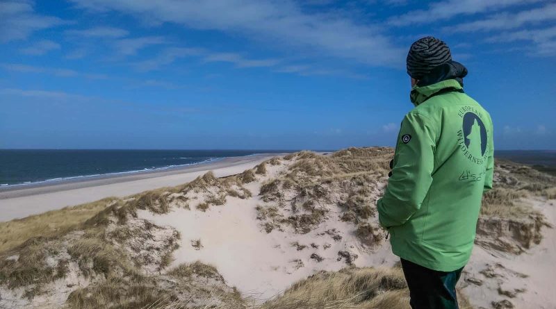 WILDCoast Amrum North Sea-4500.jpg