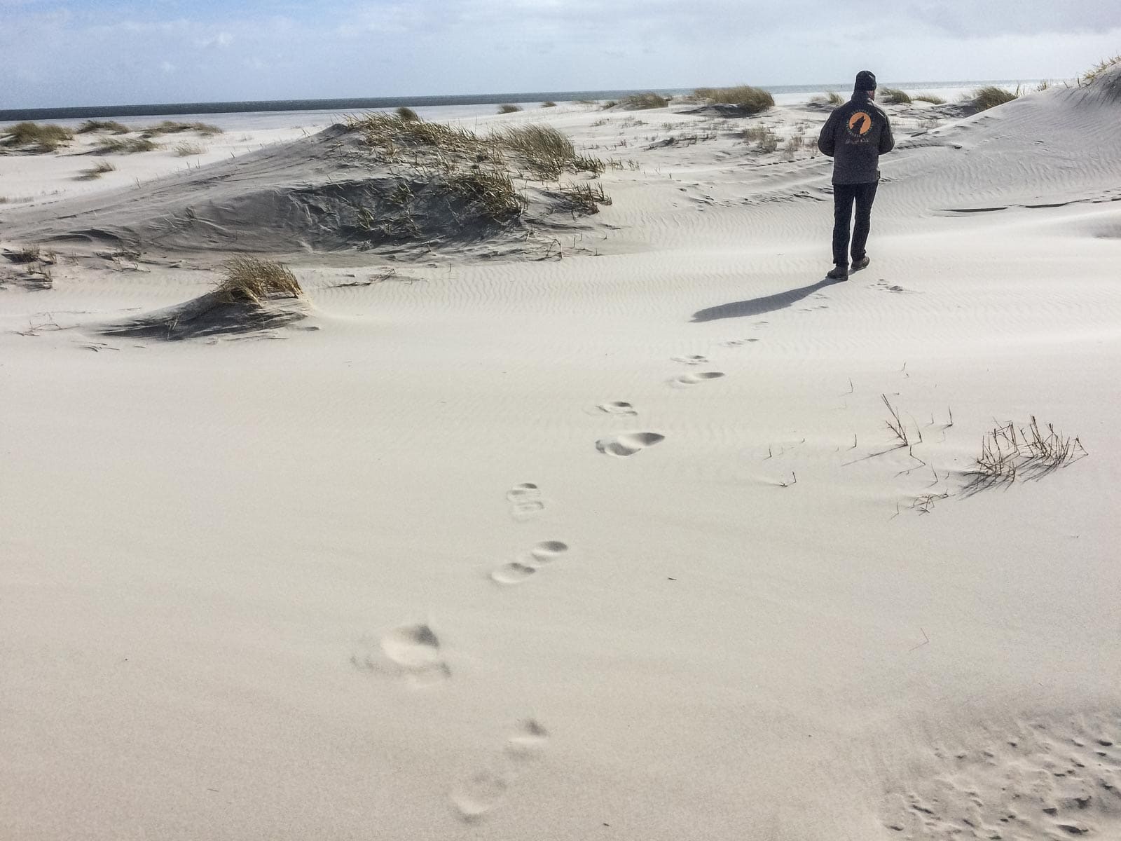 WILDCoast Amrum North Sea-30.jpg - © European Wilderness Society CC BY-NC-ND 4.0