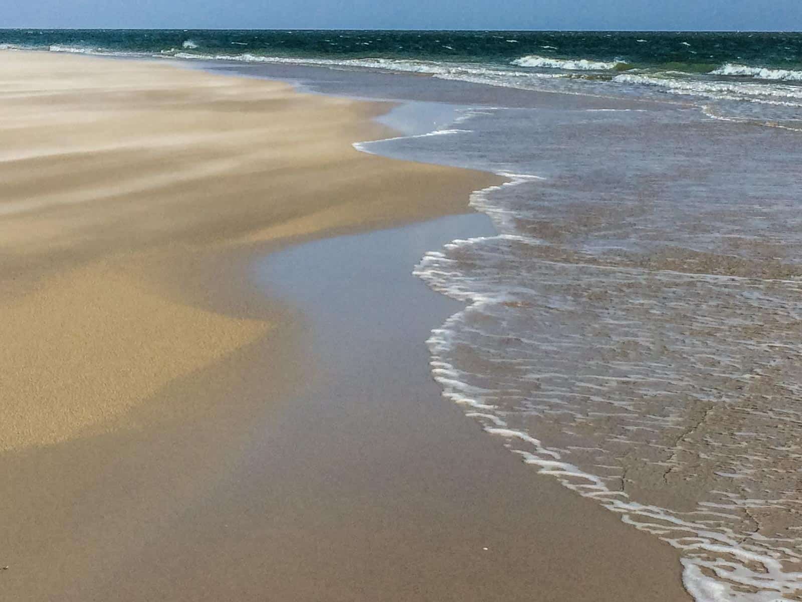 WILDCoast Amrum North Sea-47-6.jpg