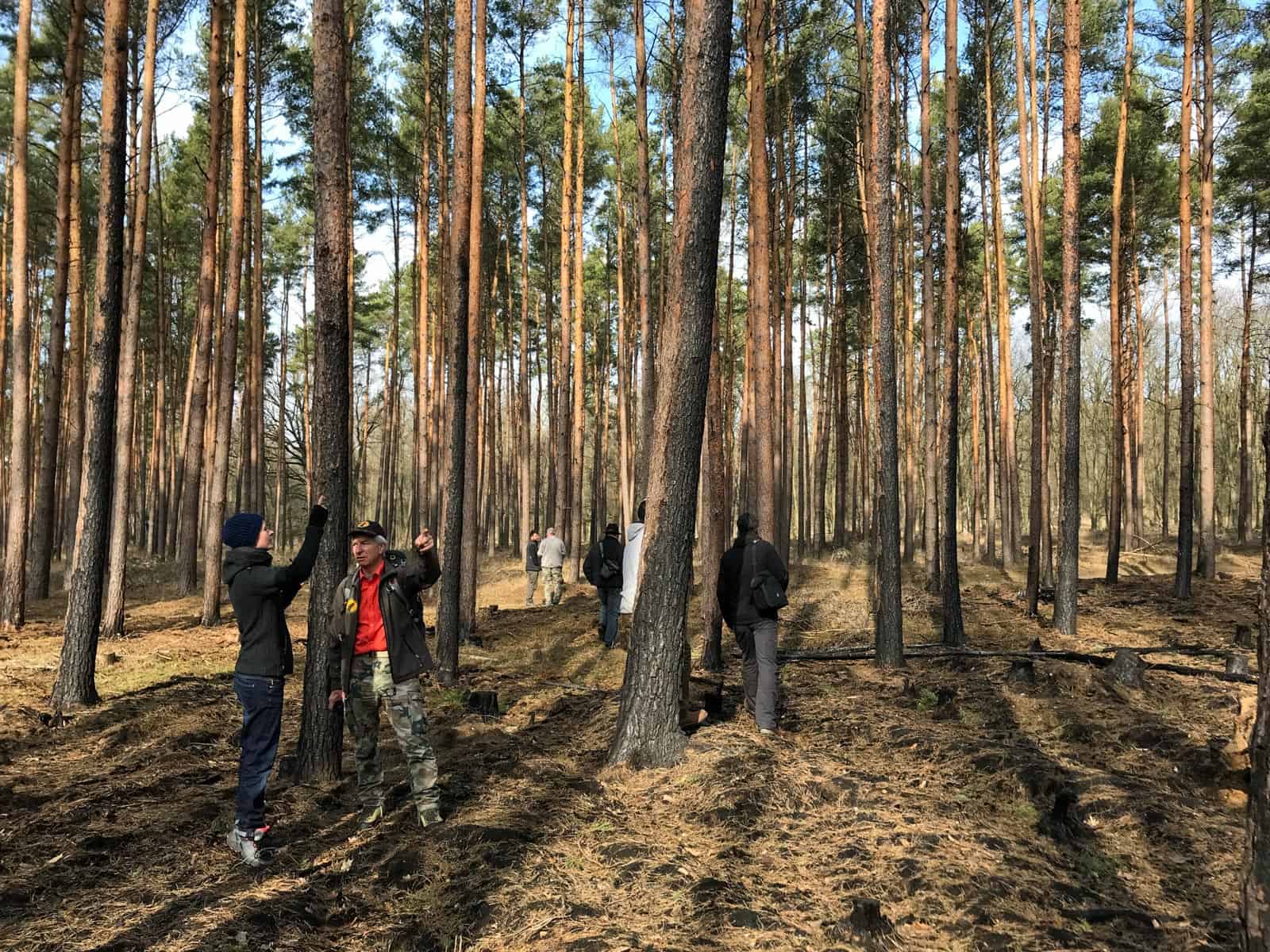 Forest Fire Treuebrietzen Brandenburg-22510.JPG