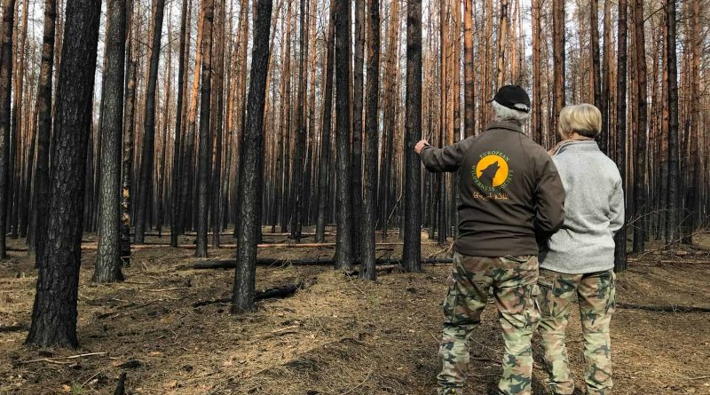 Forest Fire Treuebrietzen Brandenburg-22530.JPG