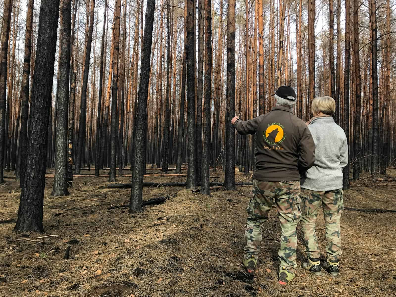 Forest Fire Treuebrietzen Brandenburg-22530.JPG