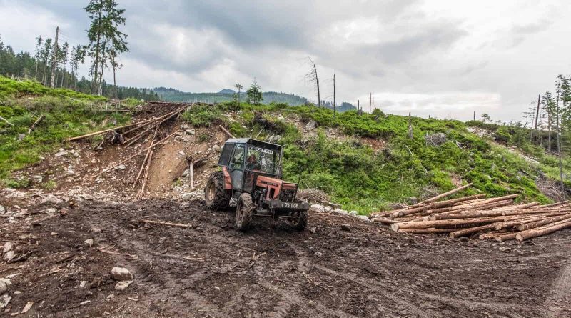 Logging in Slovakian protected areas-22731.jpg