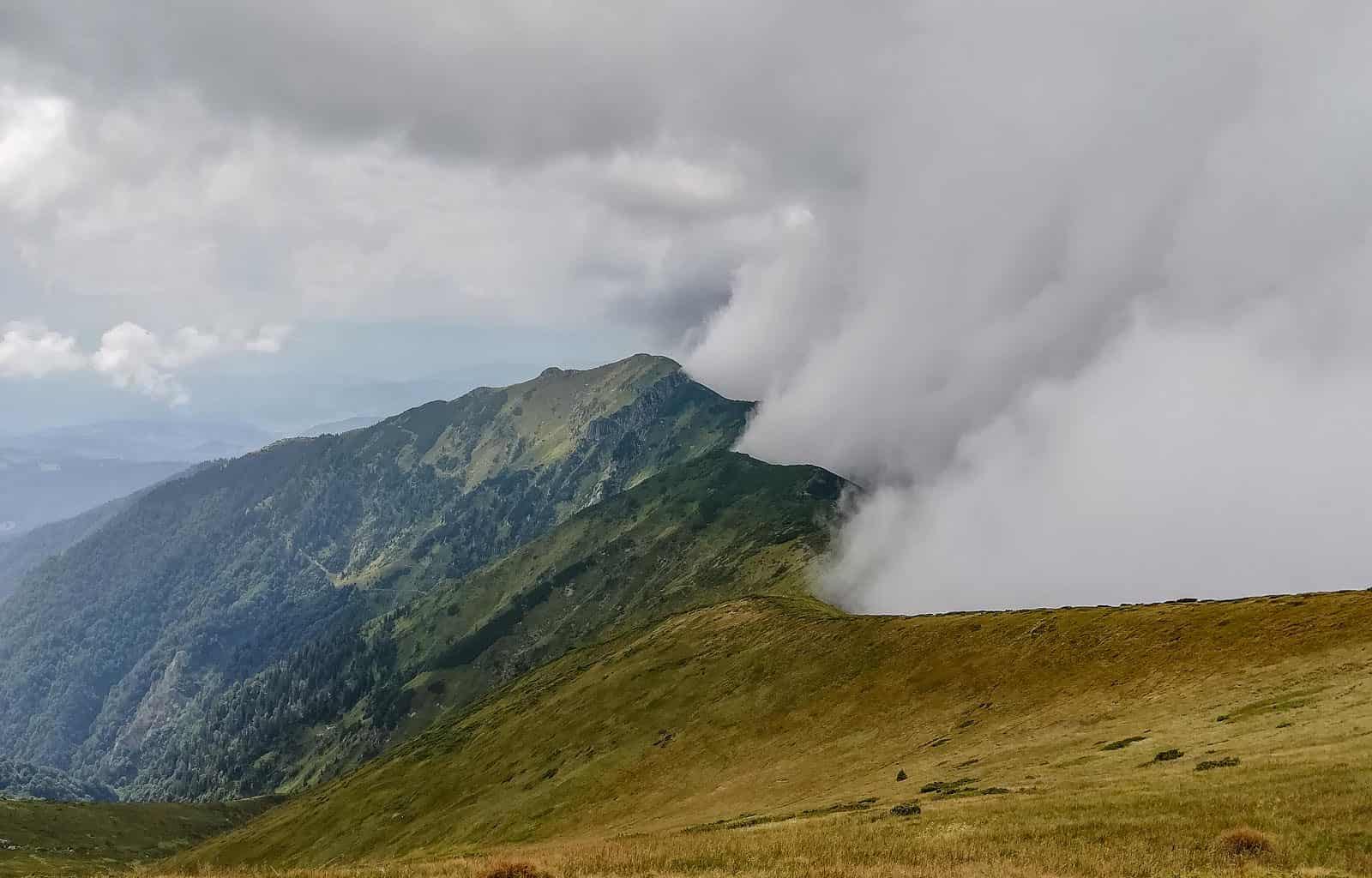 Maramarosh Wilderness Carpathian Biosphere Reserve-19784.jpg