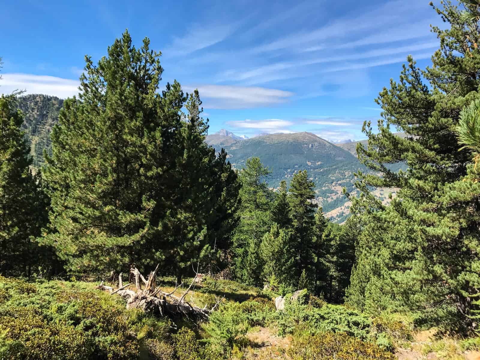 Italy Otino-15125.JPG