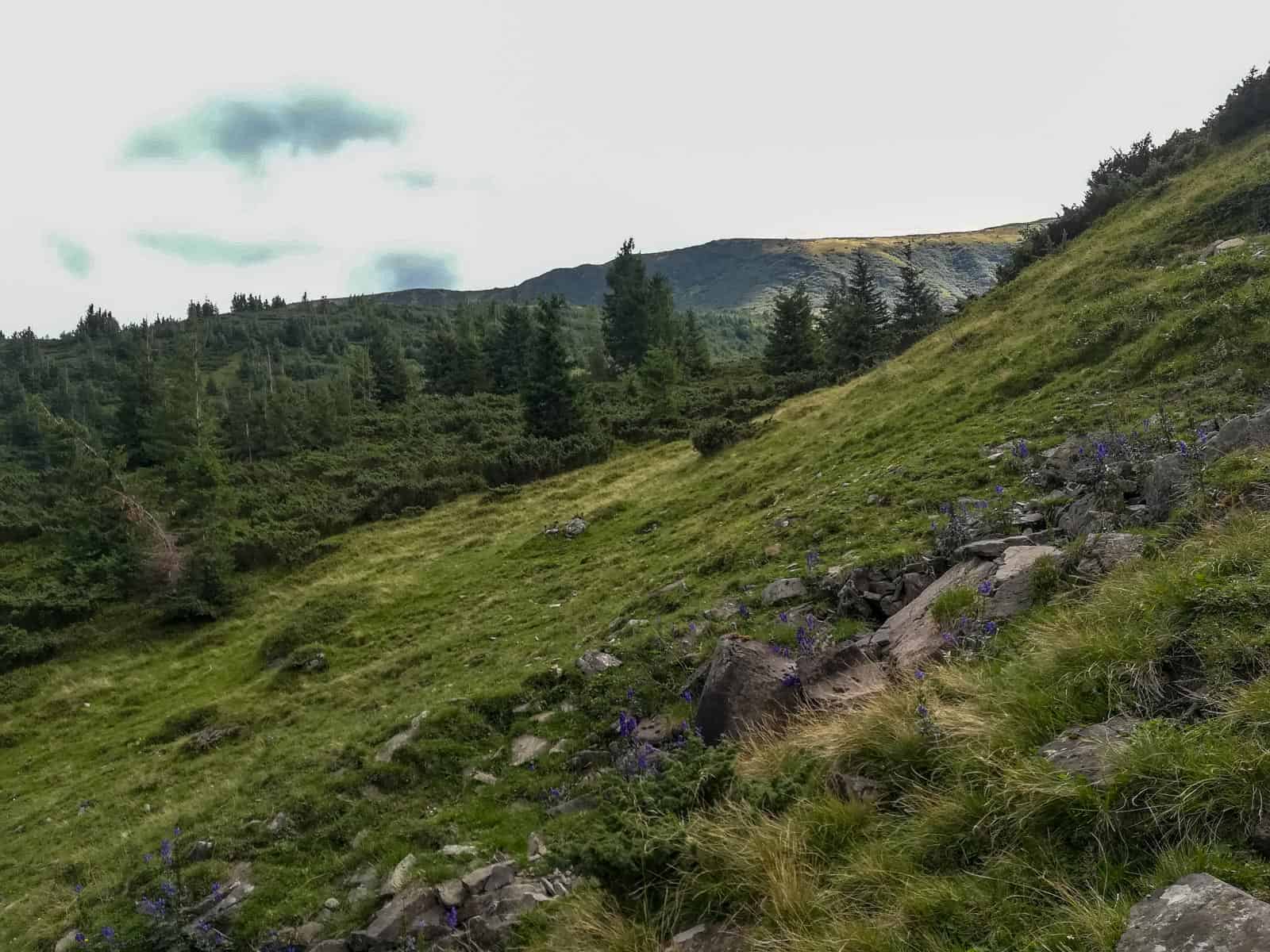 Svydovets Wild Area Ski Resort-20016.jpg