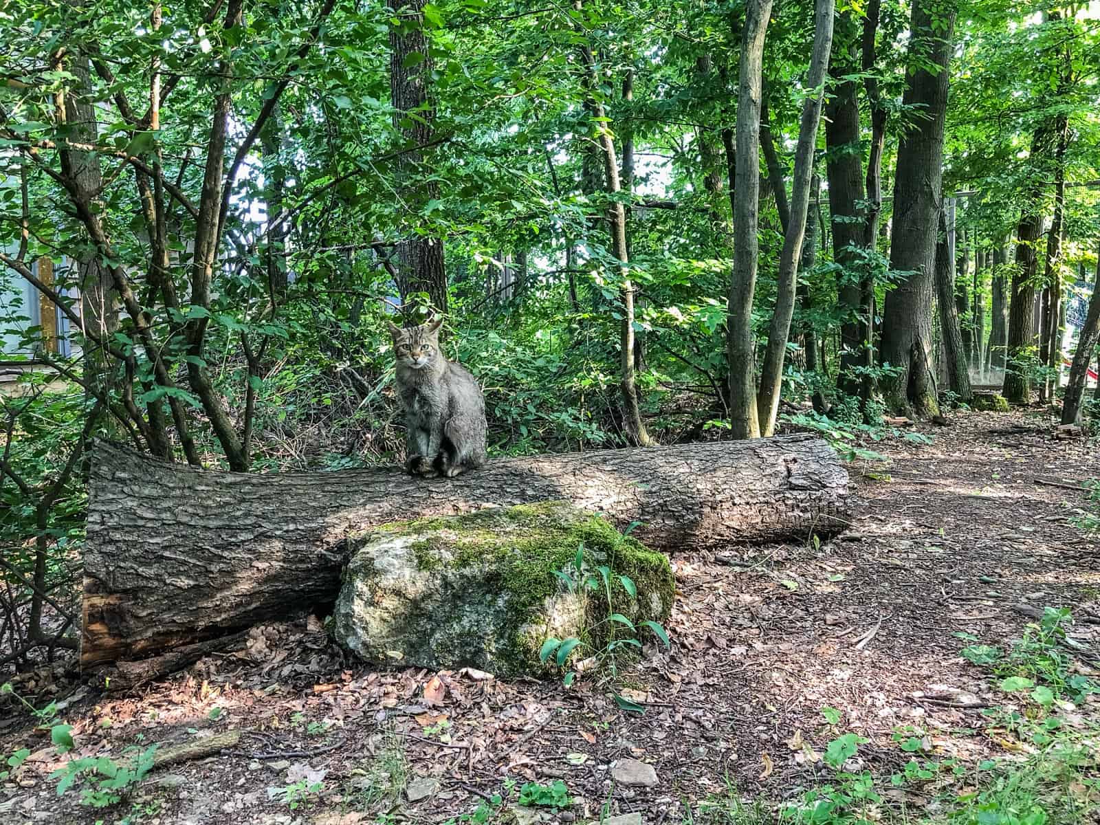 Transparc Net Meeting Thayatal-15705.JPG