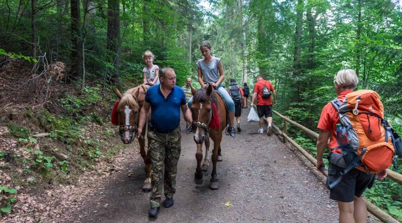 WILDArt Synevyr - 18744.dng