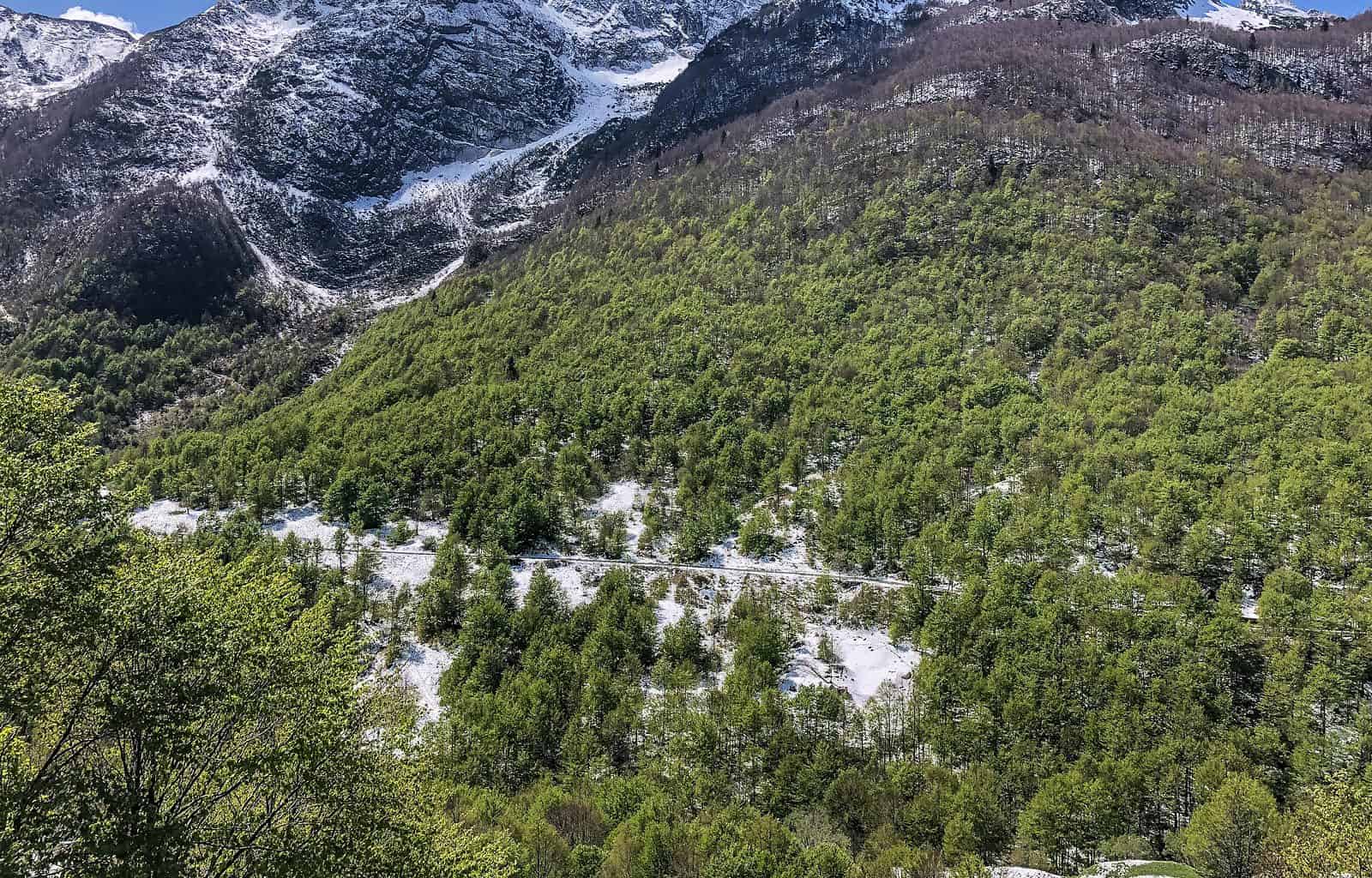 Prealpi Giulie-23211.jpg