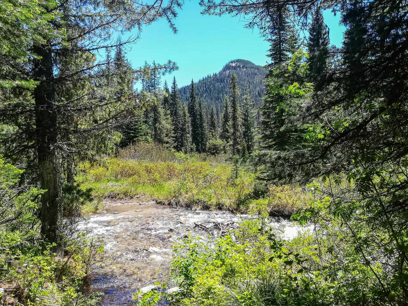 Verena WIlderness Internship USA-24415.jpg