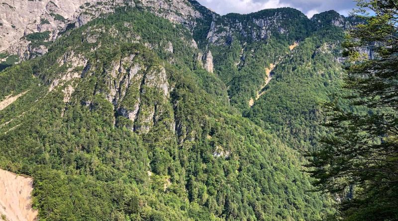 Val Alba Wilderness-25672.jpg