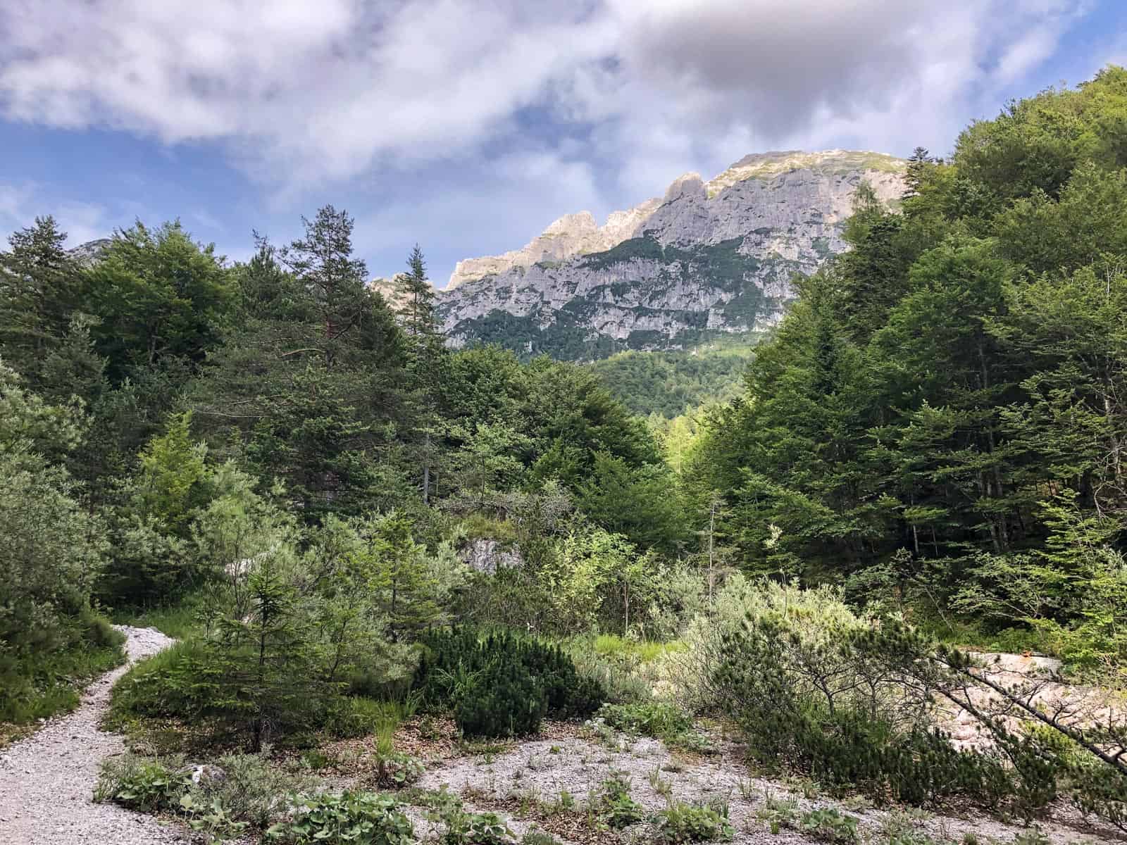 Val Alba Wilderness-25680.jpg