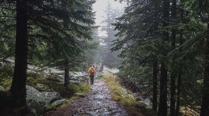 Bistrishko Branishte-30011.jpg