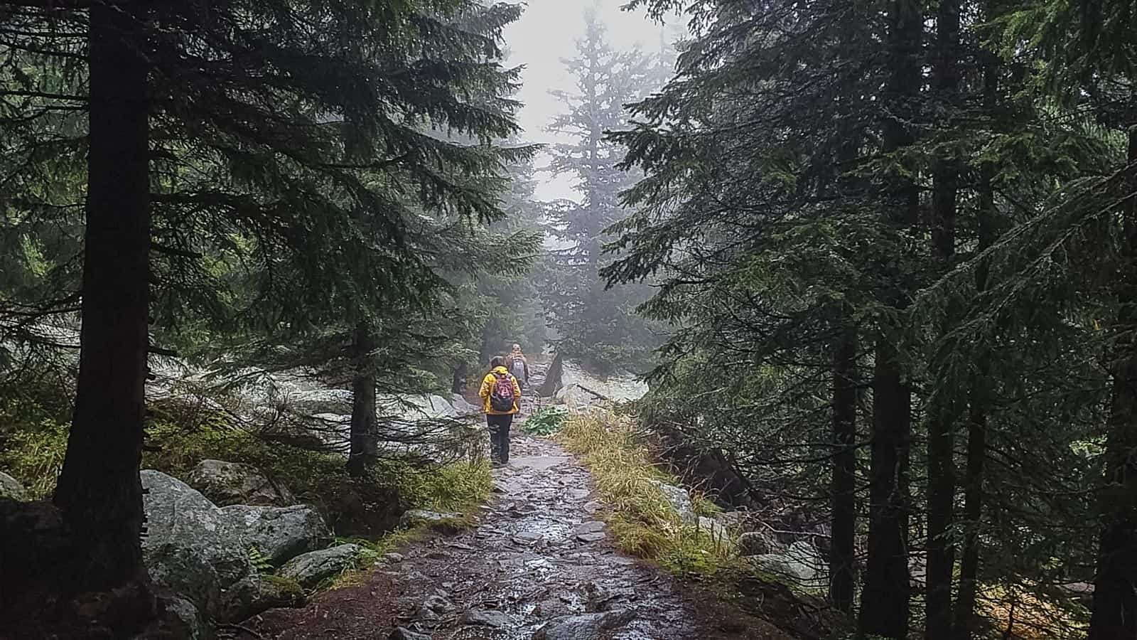 Bistrishko Branishte-30011.jpg