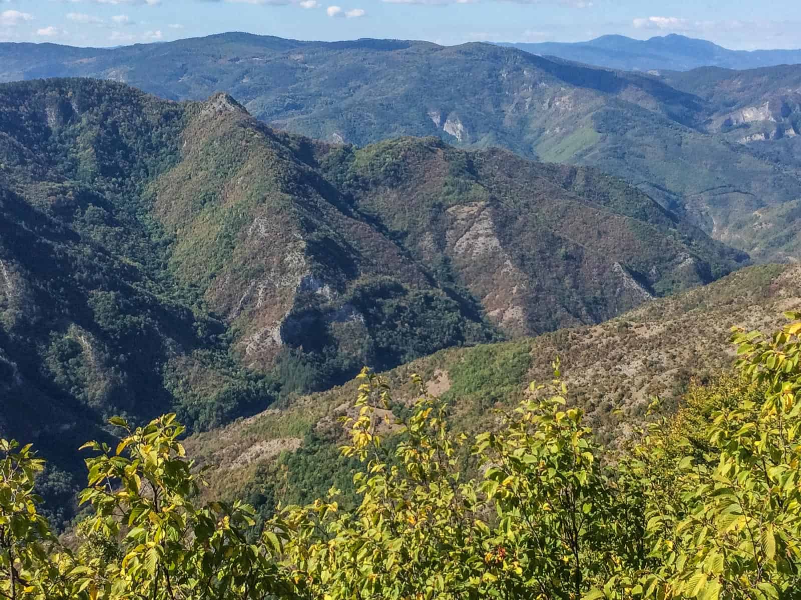 Cervenata stena Reserve-30119.jpeg